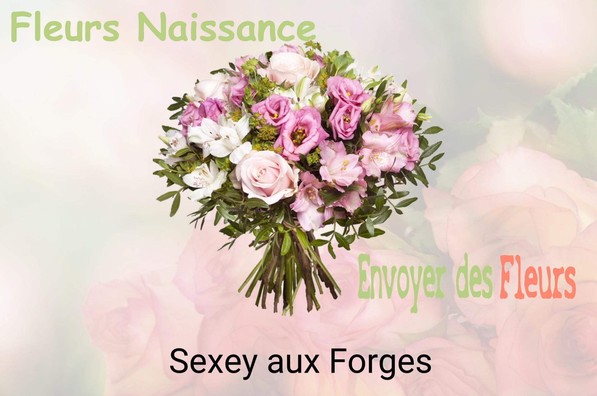 Bouquet de fleurs de naissance livré à Sexey-aux-Forges